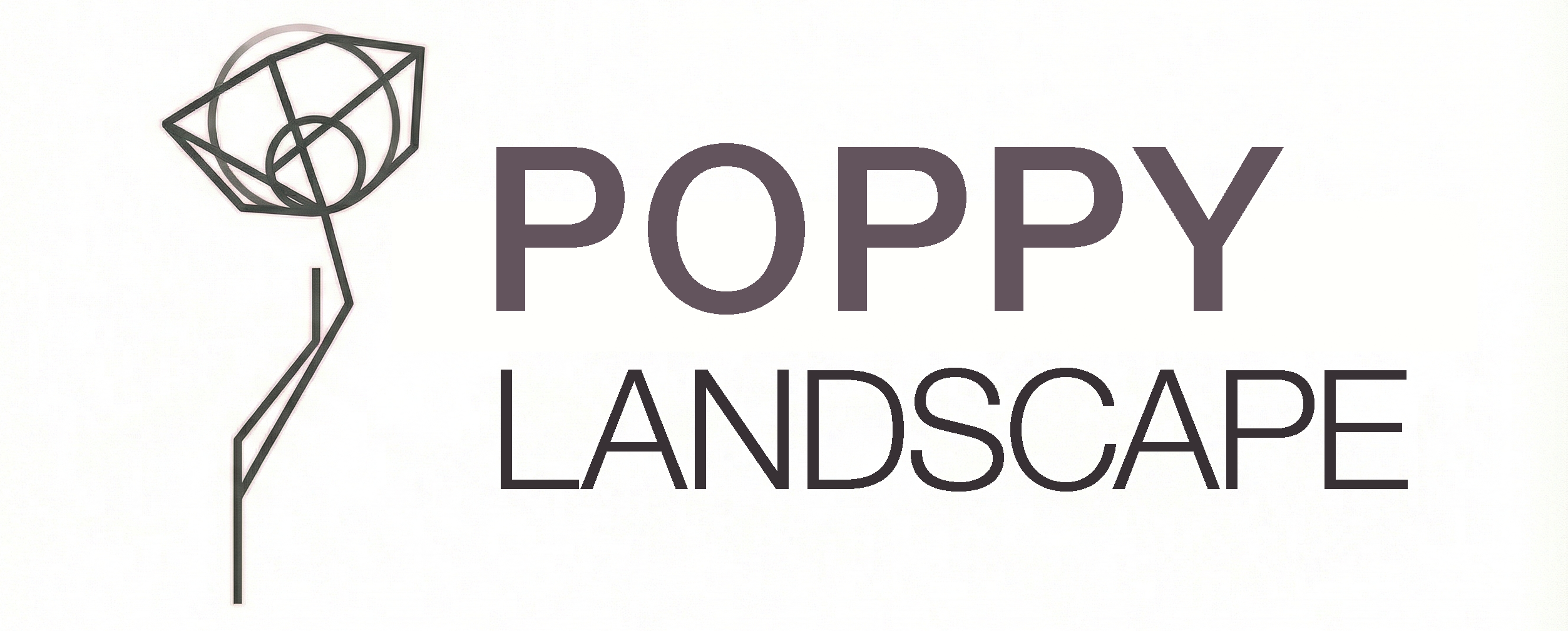Poppy Landscape